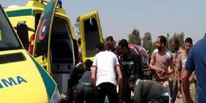 اصابة
      5
      اشخاص
      في
      تصادم
      سيارتين
      في
      بئر
      العبد
      بشمال
      سيناء