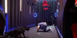 كلب
      رامز
      جلال
      يطارد
      أوس
      أوس
      ومحمد
      ثروت
      في
      الغرفة
      السوداء
      (فيديو)