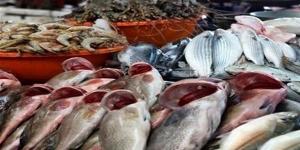 أسعار
      الأسماك
      اليوم،
      سعر
      البلطي
      يتراجع
      5
      جنيهات
      في
      سوق
      العبور