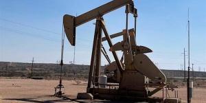 ارتفاع
      أسعار
      النفط
      مع
      تقييم
      المستثمرين
      لبيانات
      المخزونات
      الأمريكية