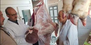 إعدام
      أسماك
      فاسدة
      ولحوم
      مذبوحة
      خارج
      السلخانة
      في
      السنبلاوين
      بالدقهلية
      (صور)