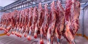احذر
      شراء
      هذا
      النوع
      من
      اللحوم،
      نصائح
      مهمة
      من
      حماية
      المستهلك
      في
      رمضان