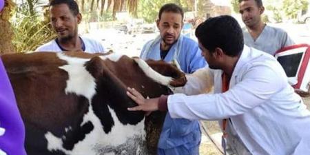 قافلة
      بيطرية
      لتوقيع
      الكشف
      الطبي
      علي
      الماشية
      بقري
      مدن
      الصف
      وأطفيح
      غدا