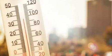 انخفاض
      تدريجي
      بدرجات
      الحرارة،
      حالة
      الطقس
      غدا
      السبت
      02-03-2024
      في
      مصر