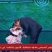 صافحها
      وقبل
      يداها..
      الرئيس
      السيسي
      يشارك
      الطفلة
      روضة
      صورة
      تذكارية
      خلال
      احتفالية
      «قادرون
      باختلاف»