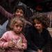 الأمم
      المتحدة:
      أكثر
      من
      1.1
      مليون
      شخص
      في
      غزة
      يواجهون
      مستوى
      شديدًا
      من
      انعدام
      الأمن
      الغذائي