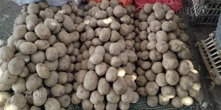 أسعار
      الخضراوات
      اليوم،
      انخفاض
      سعر
      الطماطم
      والبطاطس
      في
      سوق
      العبور