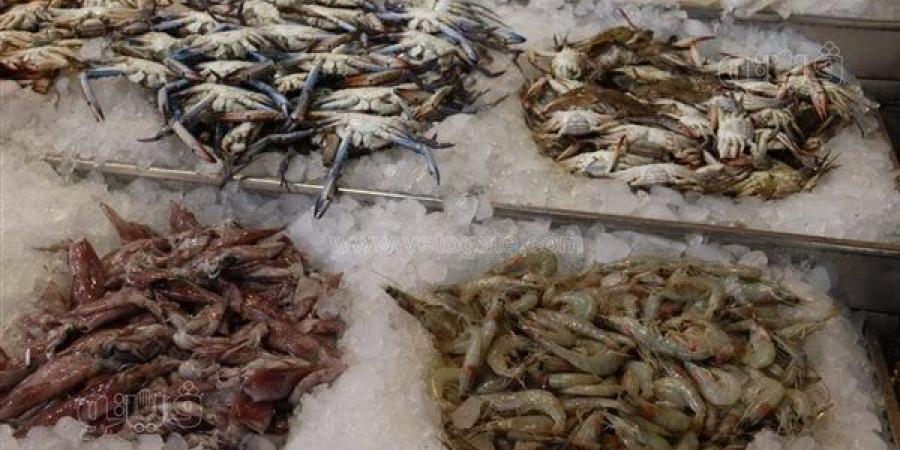 انخفاض
      الأسعار
      يعيد
      المواطنين
      لحلقة
      السمك
      مرة
      أخرى
      في
      السويس
      (صور)