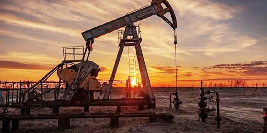 وكالة
      الطاقة
      الدولية
      تتوقع
      اعتدال
      أسعار
      النفط
      في
      2024