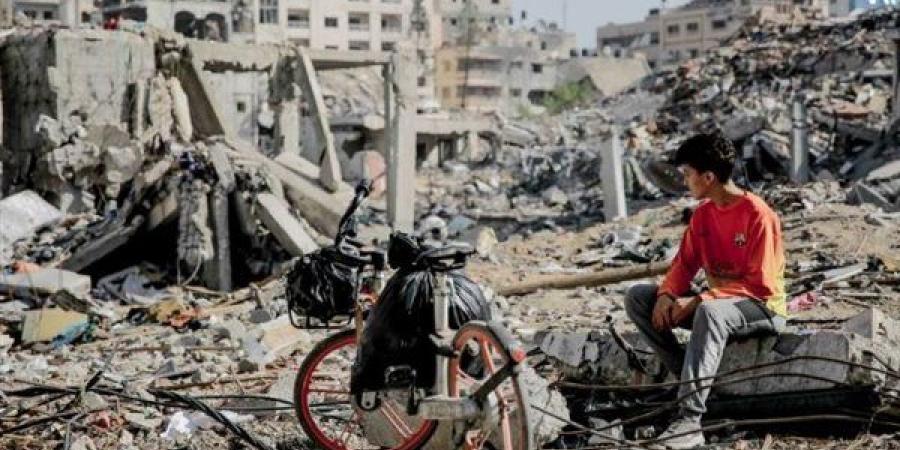 أبرز
      نتائج
      البعثة
      المشتركة
      لتوثيق
      شهادات
      جرحى
      العدوان
      الإسرائيلي
      في
      غزة