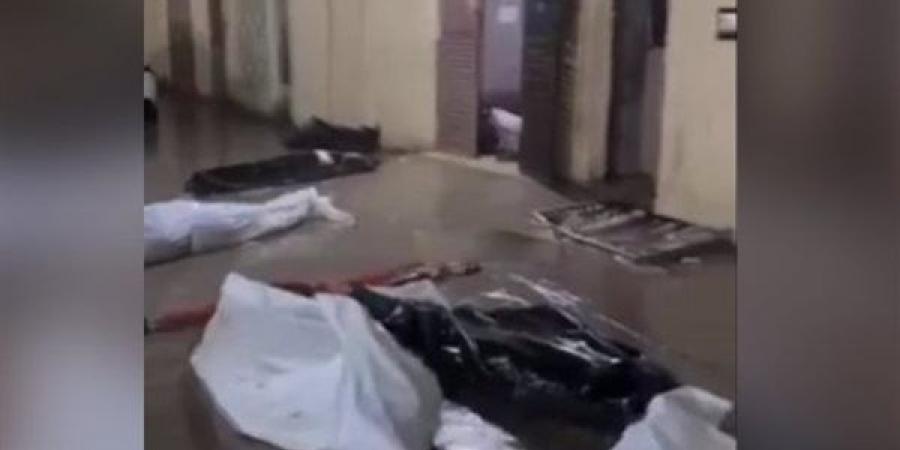 مشهد
      يفطر
      القلوب،
      جثامين
      شهداء
      رفح
      تسبح
      في
      مياه
      الأمطار
      (فيديو)