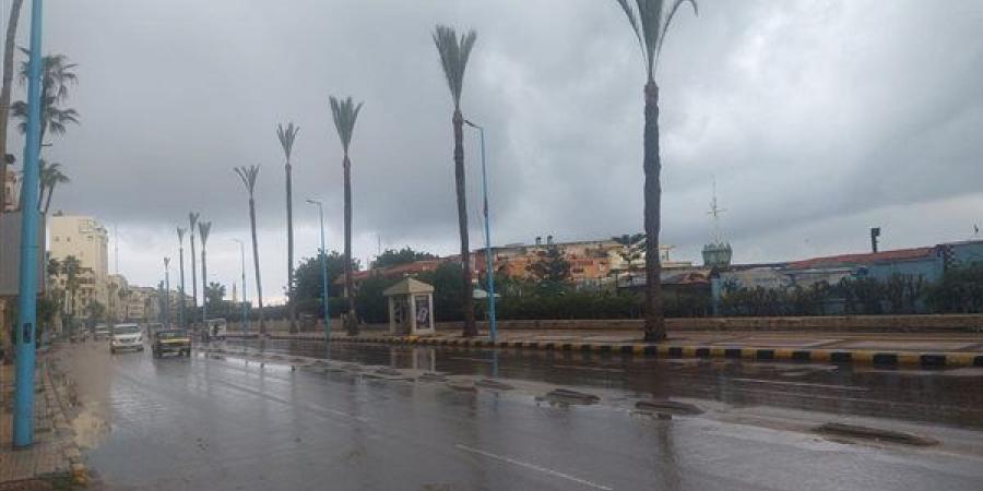 استمرار
      هطول
      الأمطار
      الغزيرة
      على
      الإسكندرية
      (صور)