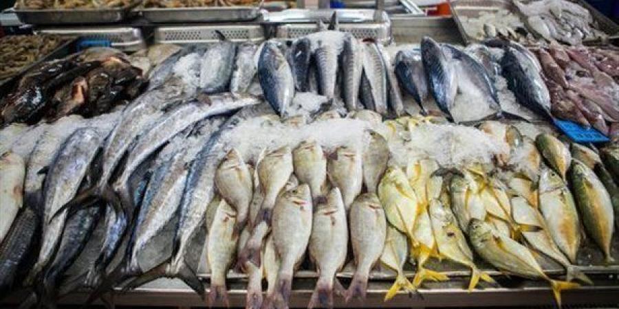 أسعار
      الأسماك
      اليوم،
      سمك
      المكرونة
      يرتفع
      لـ
      125
      جنيهًا
      في
      سوق
      العبور