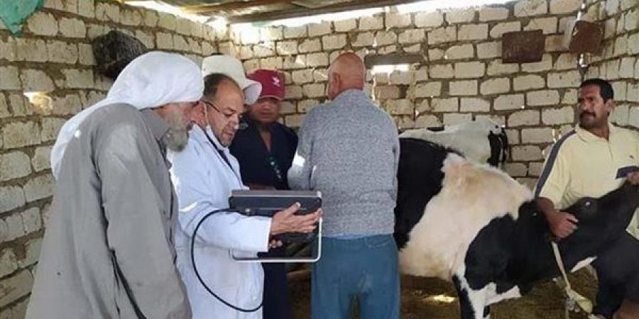 اليوم،
      قافلة
      بيطرية
      لتوقيع
      الكشف
      الطبي
      على
      الماشية
      بقرى
      مدن
      الصف
      وأطفيح
      بالجيزة