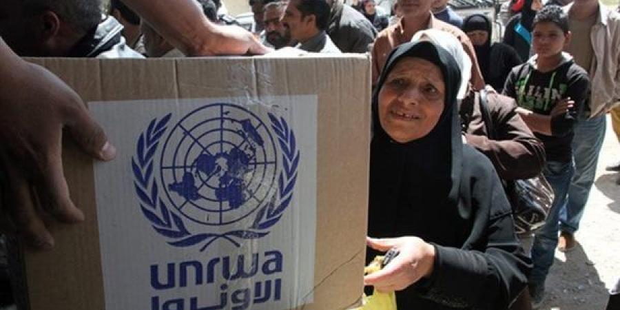 استشهاد
      19
      فلسطينيا
      بنيران
      جيش
      الاحتلال
      خلال
      انتظار
      المساعدات
      في
      غزة