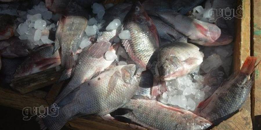 أسعار
      الأسماك
      اليوم،
      البلطي
      يتراجع
      4
      جنيهات
      في
      سوق
      العبور