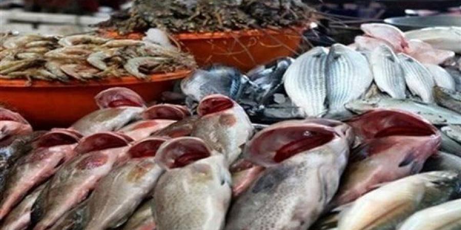 أسعار
      الأسماك
      اليوم،
      سعر
      البلطي
      يتراجع
      5
      جنيهات
      في
      سوق
      العبور