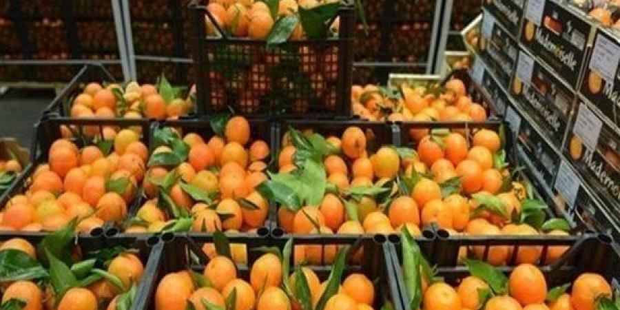 أسعار
      الفاكهة
      اليوم،
      البرتقال
      يتراجع
      50
      قرشًا
      في
      سوق
      العبور