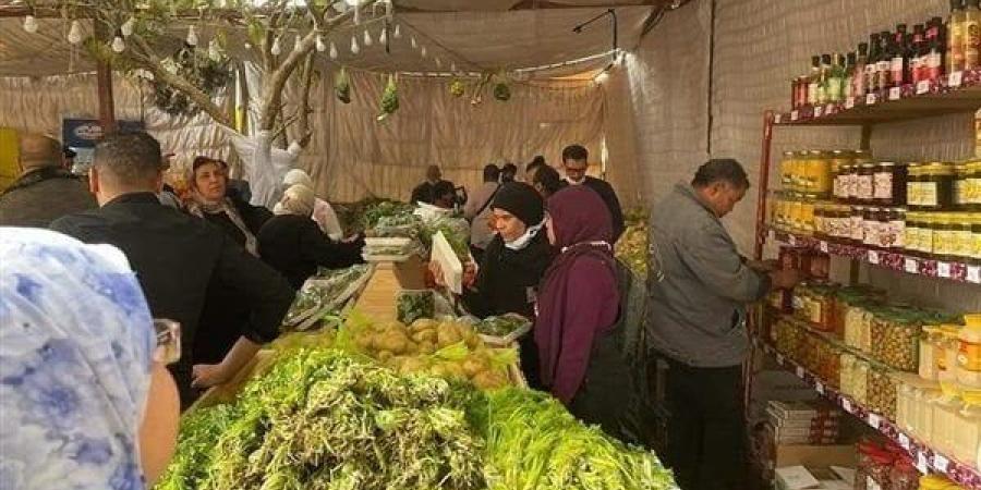 300
      منفذ
      ثابت
      و30
      متحركا،
      أكبر
      معرض
      للسلع
      والمنتجات
      الغذائية
      في
      مصر