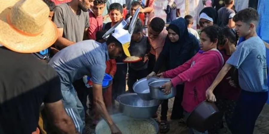 الصحة
      العالمية:
      "المجاعة"
      بدأت
      بالفعل
      في
      قطاع
      غزة