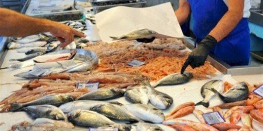 البلطي
      يبدأ
      بـ30
      جنيها،
      أسعار
      الأسماك
      بسوق
      العبور
      اليوم
      الجمعة
      5
      أبريل
      2024